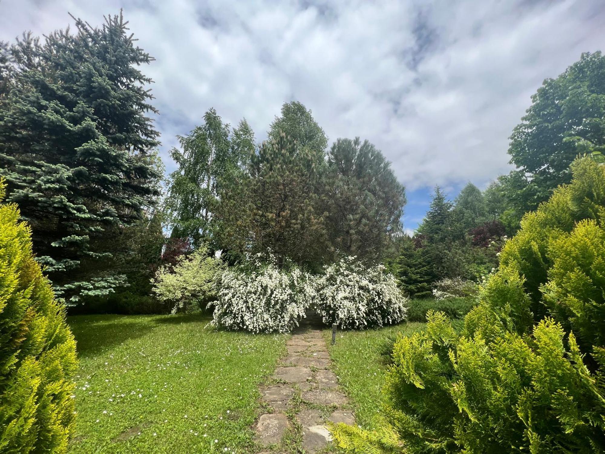 Wine Cellar Villa With Beautiful Garden In Sinaia - Busteni Poiana Tapului Exterior foto